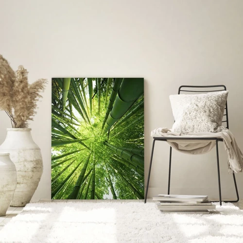 Quadro su vetro - Nella foresta di bambù - 70x100 cm