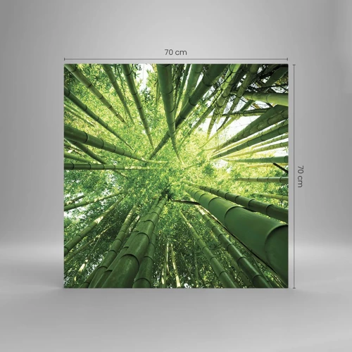Quadro su vetro - Nella foresta di bambù - 70x70 cm