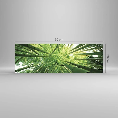 Quadro su vetro - Nella foresta di bambù - 90x30 cm