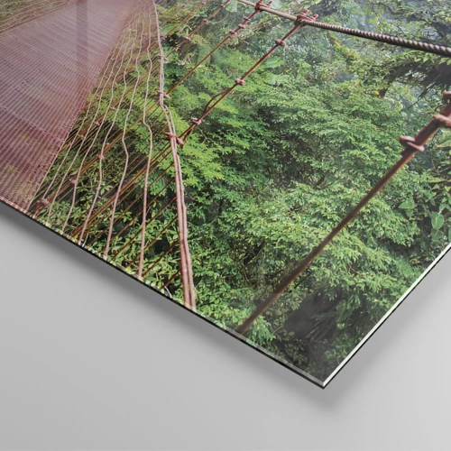 Quadro su vetro - Sospeso sopra gli alberi - 140x50 cm
