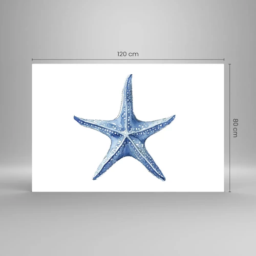 Quadro su vetro - Stella marina - 120x80 cm