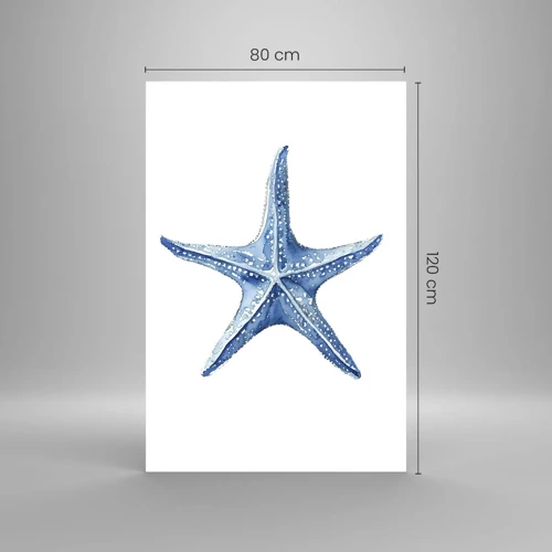 Quadro su vetro - Stella marina - 80x120 cm