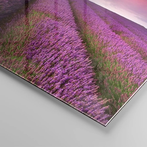 Quadro su vetro - Sui campi di lavanda - 70x50 cm