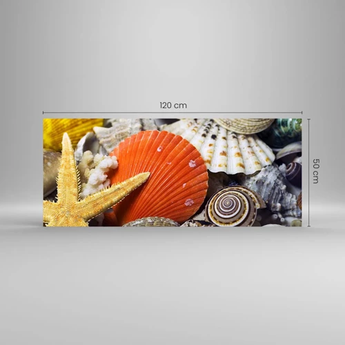Quadro su vetro - Tesori dell'oceano - 120x50 cm
