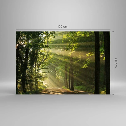 Quadro su vetro - Un attimo nel bosco - 120x80 cm