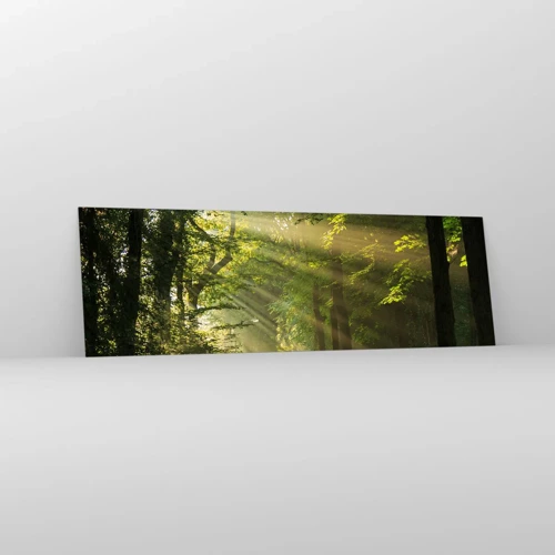 Quadro su vetro - Un attimo nel bosco - 160x50 cm