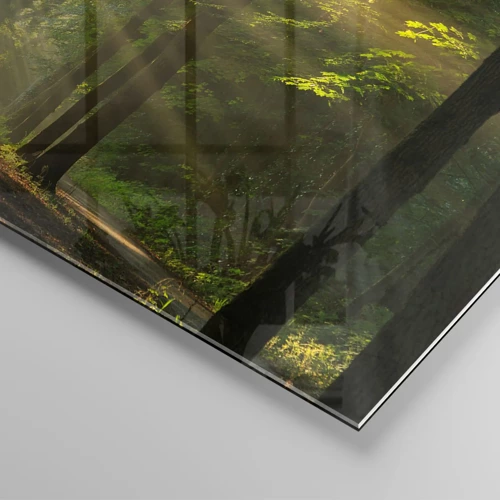 Quadro su vetro - Un attimo nel bosco - 50x70 cm