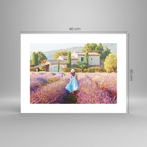 Poster - La ragazza nella lavanda - 40x30 cm