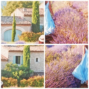 Poster - La ragazza nella lavanda - 60x60 cm