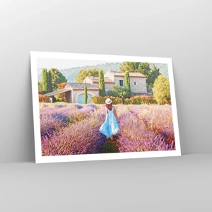 Poster - La ragazza nella lavanda - 91x61 cm