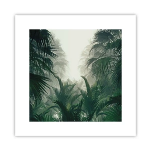 Poster - Mistero dei tropici - 30x30 cm