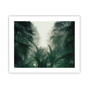 Poster - Mistero dei tropici - 50x40 cm