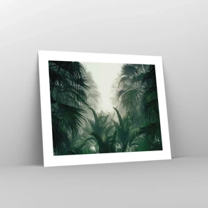 Poster - Mistero dei tropici - 50x40 cm