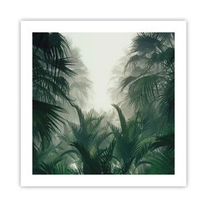 Poster - Mistero dei tropici - 50x50 cm