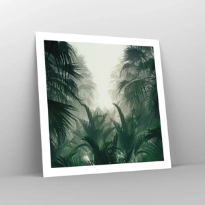 Poster - Mistero dei tropici - 60x60 cm