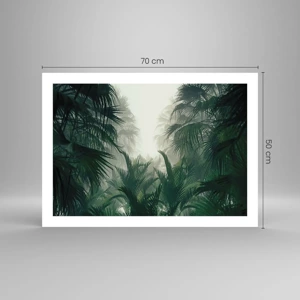 Poster - Mistero dei tropici - 70x50 cm