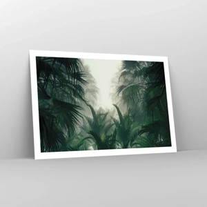 Poster - Mistero dei tropici - 91x61 cm