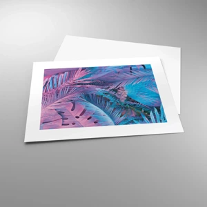 Poster - Tropici in rosa e blu - 40x30 cm