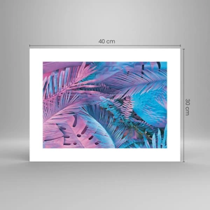 Poster - Tropici in rosa e blu - 40x30 cm