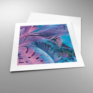 Poster - Tropici in rosa e blu - 40x40 cm