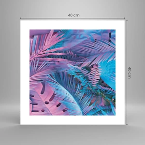 Poster - Tropici in rosa e blu - 40x40 cm