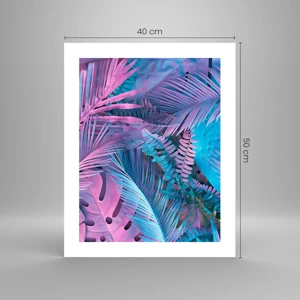 Poster - Tropici in rosa e blu - 40x50 cm