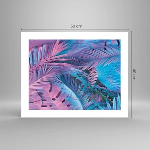 Poster - Tropici in rosa e blu - 50x40 cm