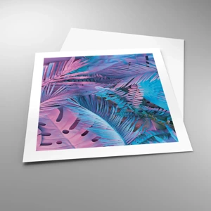 Poster - Tropici in rosa e blu - 50x50 cm