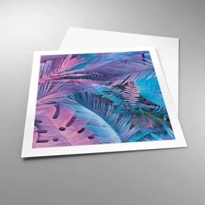 Poster - Tropici in rosa e blu - 60x60 cm