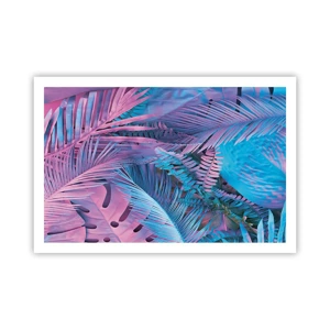 Poster - Tropici in rosa e blu - 91x61 cm