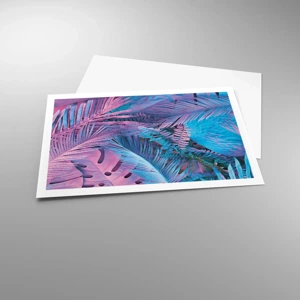 Poster - Tropici in rosa e blu - 91x61 cm