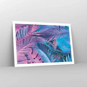 Poster - Tropici in rosa e blu - 91x61 cm