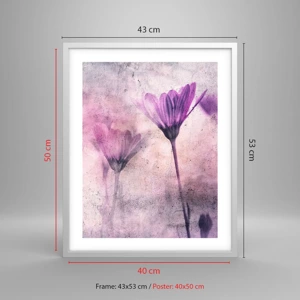 Poster in cornice bianca - Il sogno dei fiori - 40x50 cm