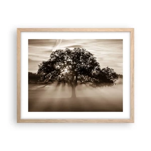 Poster in cornice rovere chiaro - L'albero delle sole buone notizie - 50x40 cm