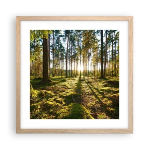 Poster in cornice rovere chiaro - …dopo sette foreste - 40x40 cm