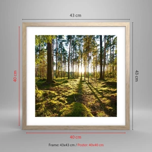 Poster in cornice rovere chiaro - …dopo sette foreste - 40x40 cm