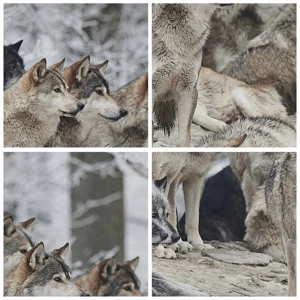 Quadro su tela - Stampe su Tela - Famiglia e amici - 90x30 cm