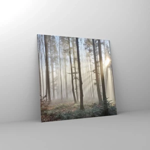 Quadro su vetro - Anche la nebbia si è svegliata - 60x60 cm