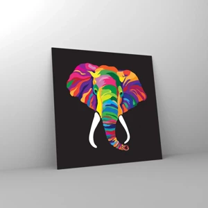 Quadro su vetro - L'elefante che faceva il bagno nell'arcobaleno - 30x30 cm