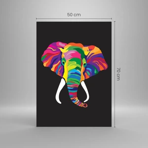 Quadro su vetro - L'elefante che faceva il bagno nell'arcobaleno - 50x70 cm