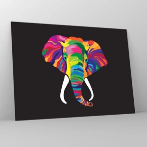 Quadro su vetro - L'elefante che faceva il bagno nell'arcobaleno - 70x50 cm